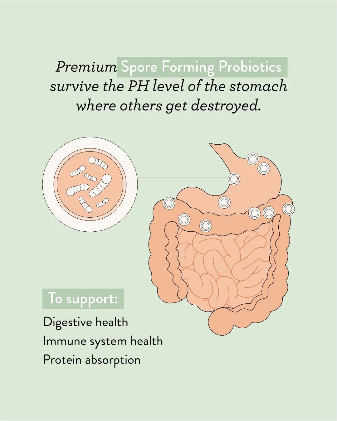 28 Day Gut Reset Bundle - Image 5