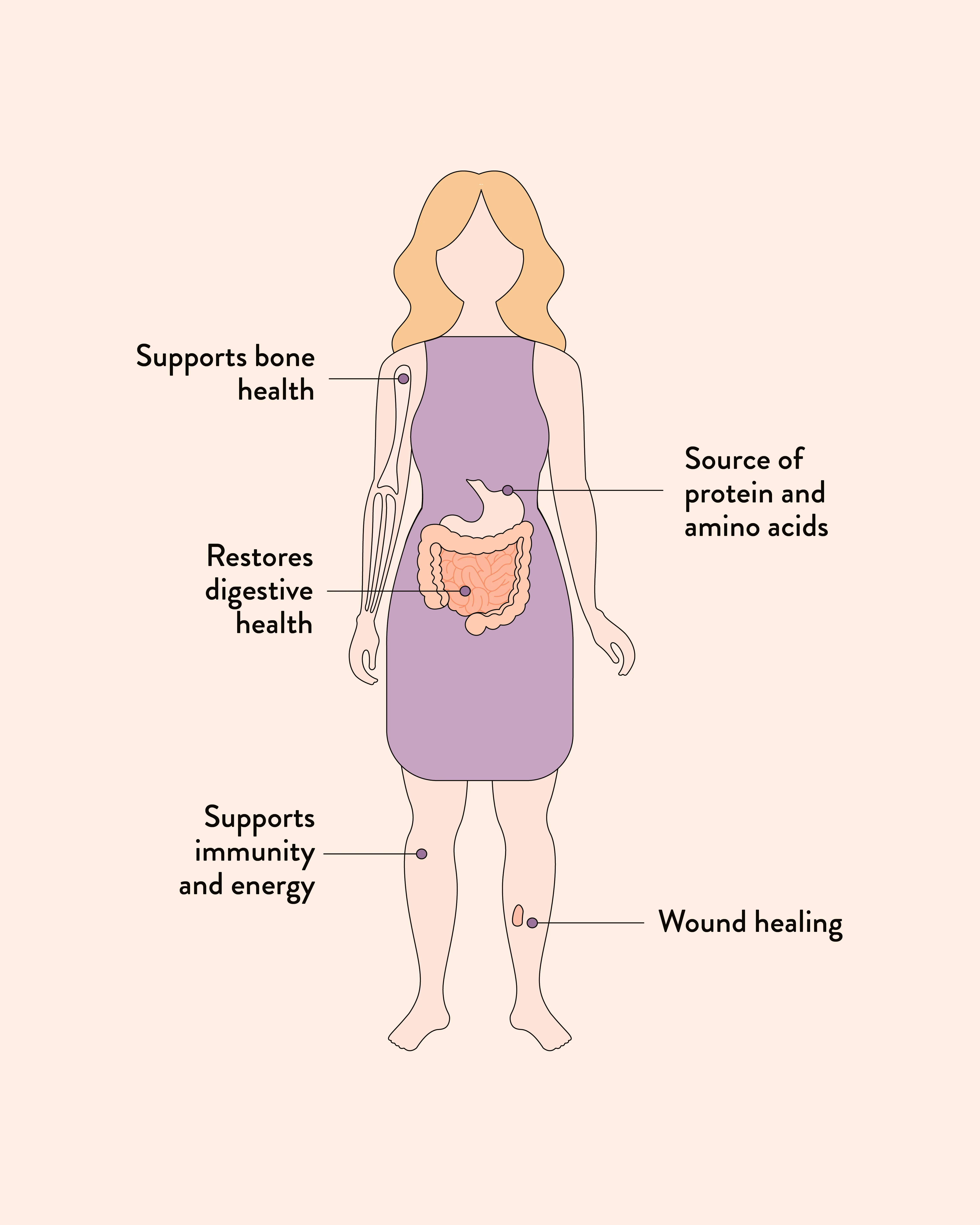 Beef Bone Broth Adaptogenic Mushroom - Image 7