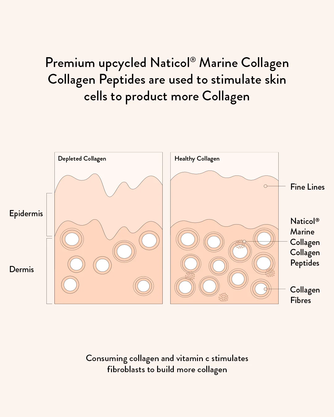 Marine Collagen Beauty - Image 7