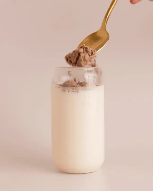 Organic Whey Protein Chocolate - Image 2